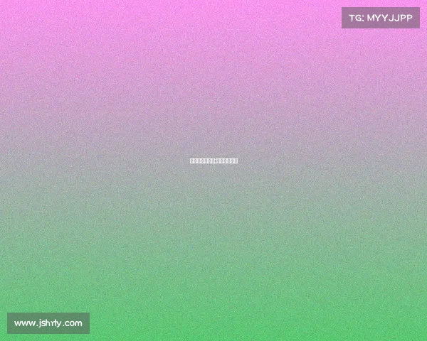 公路车赛事级别;公路车锦标赛